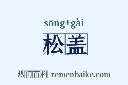 松盖是什么意思的图片